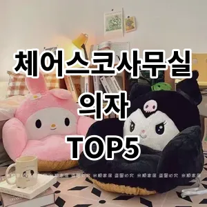 2024 체어스코사무실의자 추천 Top5