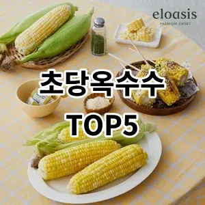 2024 초당옥수수 추천 Top5