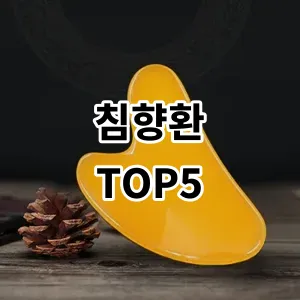 2024 침향환 추천 Top5