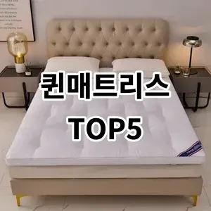 2024 퀸매트리스 추천 Top5