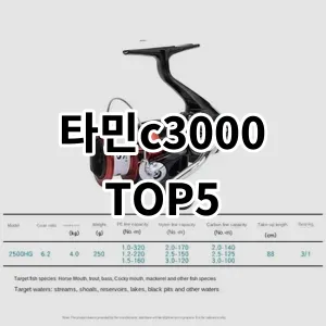 2024 타민c3000 추천 Top5