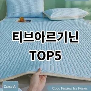 2024 티브아르기닌 추천 Top5