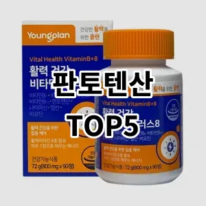 2024 판토텐산 추천 Top5