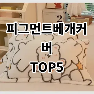 2024 피그먼트베개커버 추천 Top5