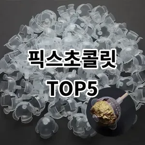 2024 픽스초콜릿 추천 Top5