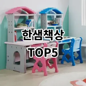 2024 한샘책상 추천 Top5