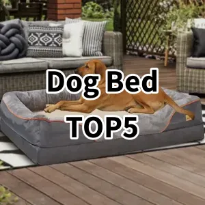 Cost-effective Dog Bed Ranking Top 5