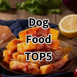 Cost-effective Dog Food Ranking Top 5