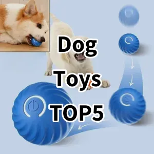 Cost-effective Dog Toys Ranking Top 5