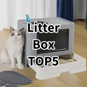 Cost-effective Litter Box Ranking Top 5